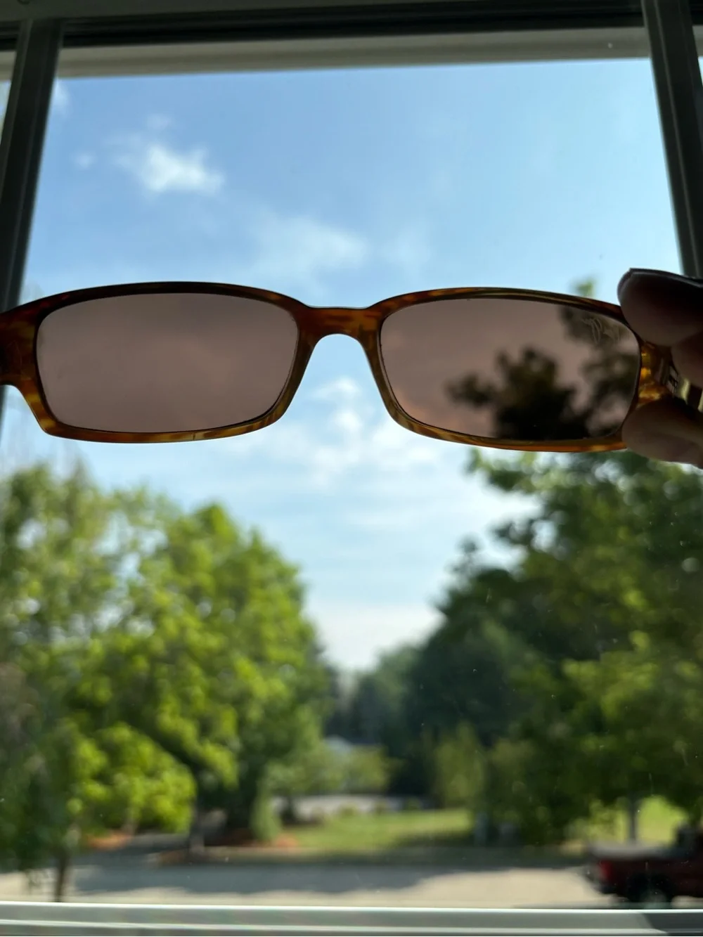 Maui Jim MJ220 Atoll Tortoise Polarized Sunglasses